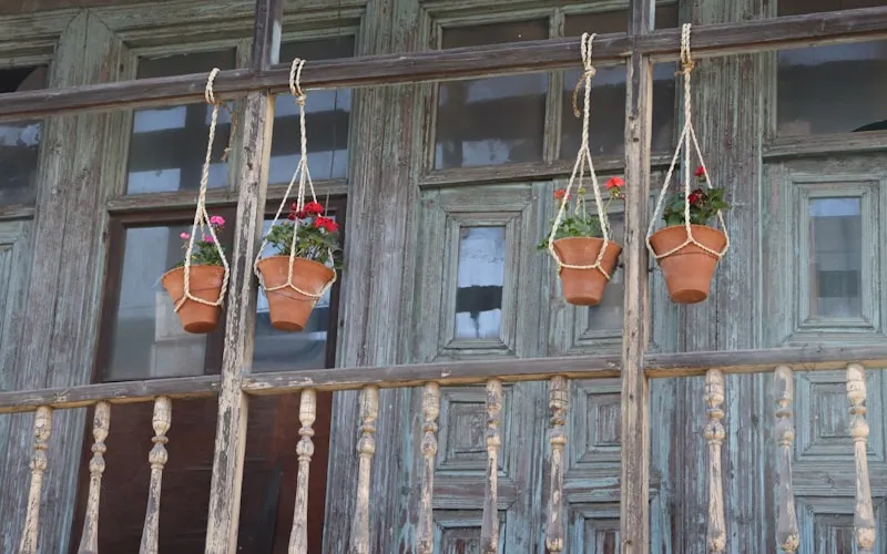 Boho interior featuring macrame wall hangings, indoor plants, and rattan baskets