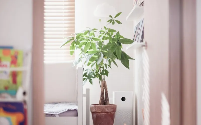 Natural interior color scheme with terracotta, sage green, and ochre tones