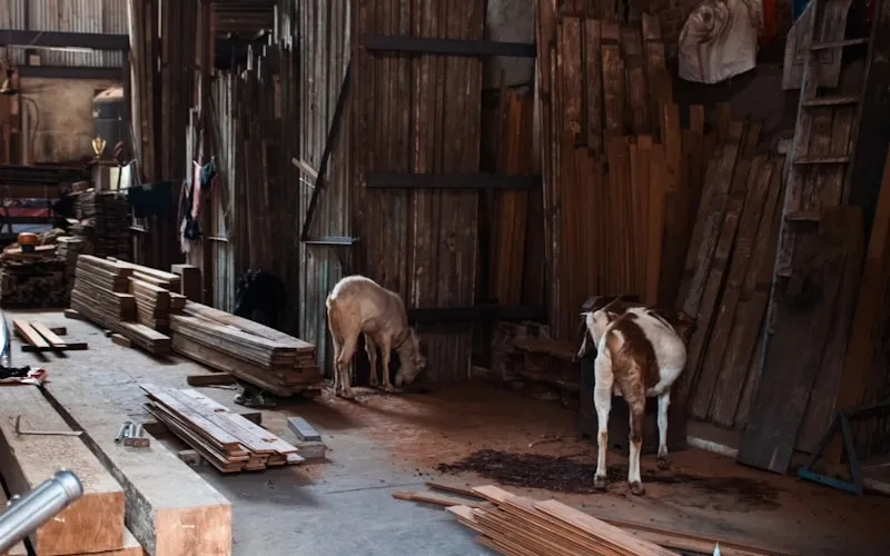 Artisan craftsperson creating handmade furniture from sustainably sourced materials