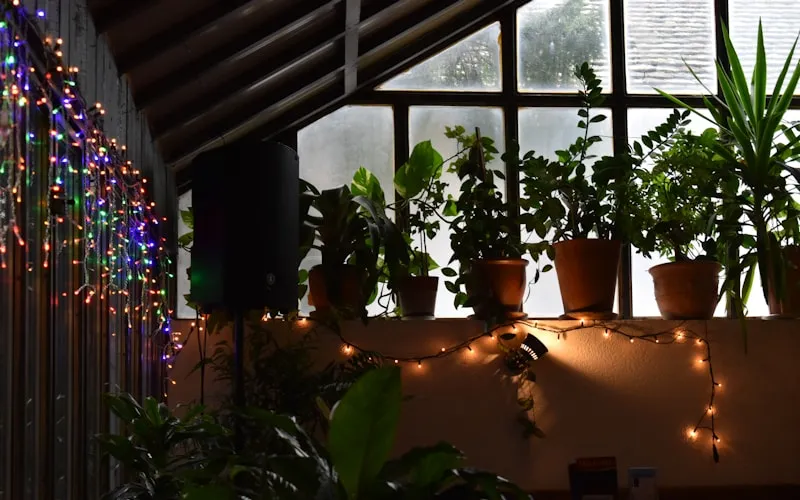 Eco-friendly living room filled with natural light and organic materials
