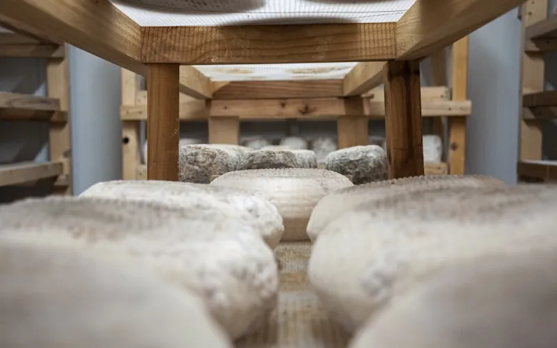 Natural wood and wool textiles creating warmth in a contemporary interior